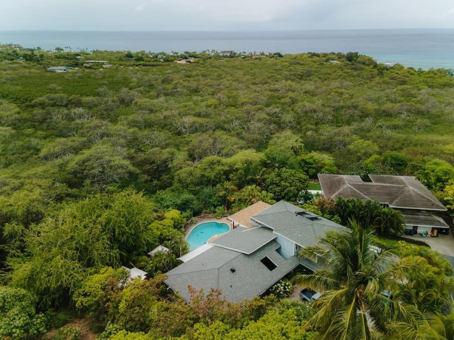 The Pohaku Studio At The Koi House Кайлуа Кона Екстериор снимка